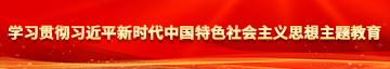 久久大鸡巴操死我视频学习贯彻习近平新时代中国特色社会主义思想主题教育